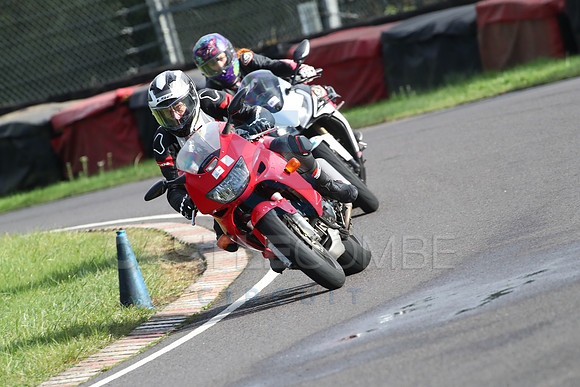 BIKES 1447