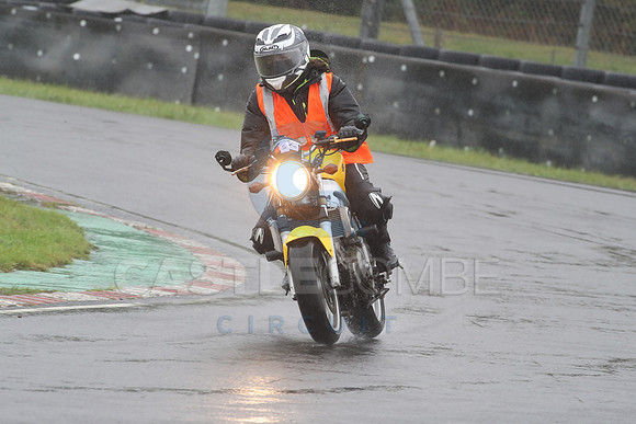 BIKES 1181