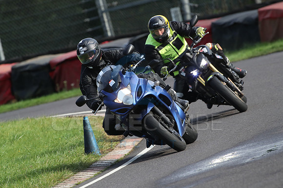 BIKES 1480