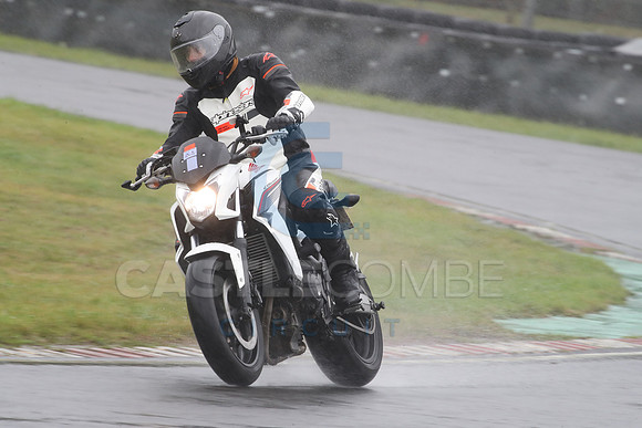 BIKES 1191