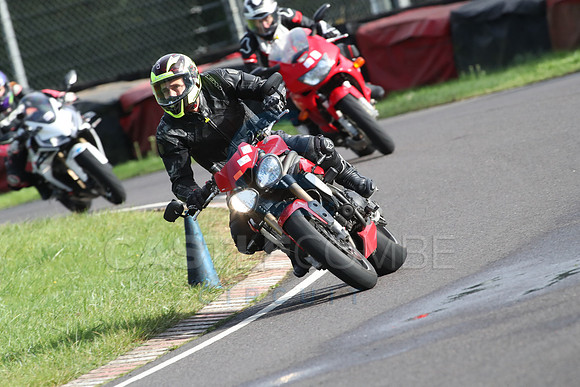 BIKES 1446