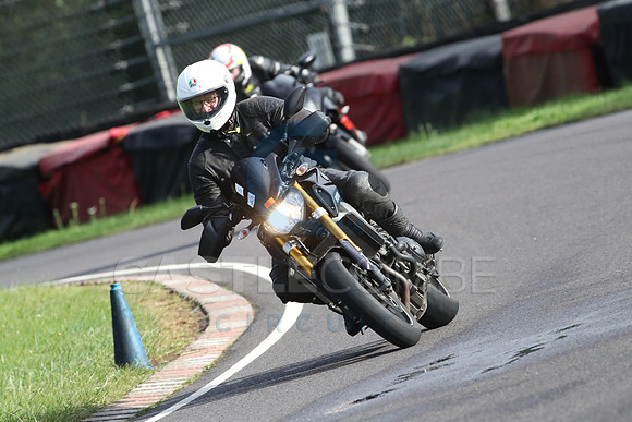 BIKES 1444
