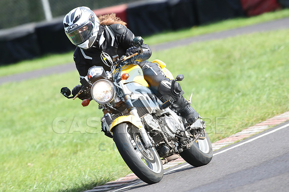 BIKES 1441