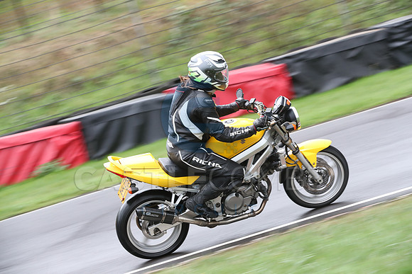 BIKES 0228