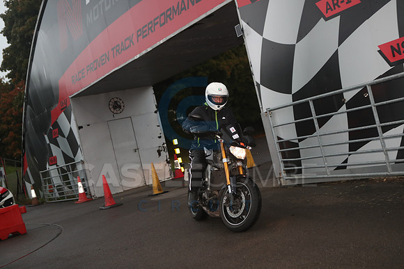 BIKES 0089