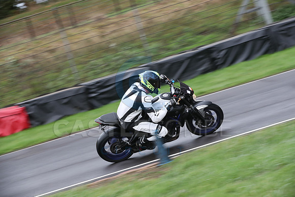 BIKES 0319