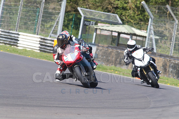 BIKES 1452