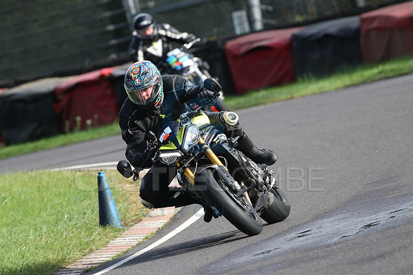 BIKES 1464