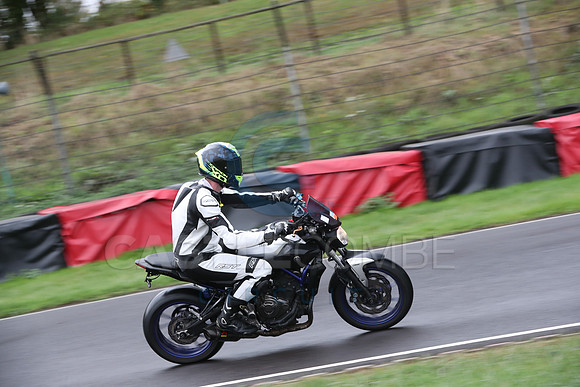 BIKES 0309