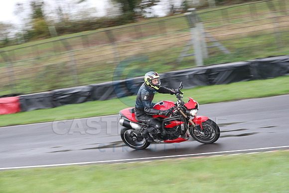 BIKES 0291