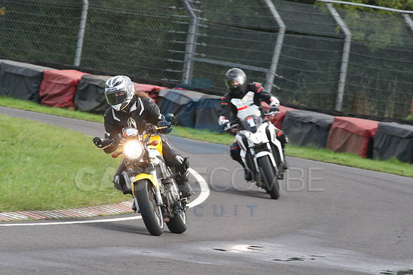 BIKES 2104