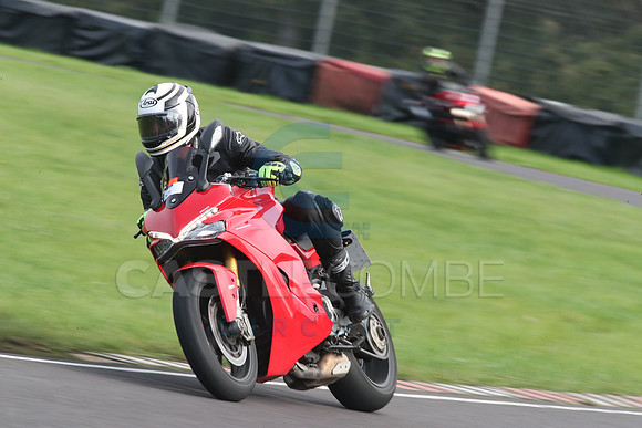 BIKES 2115