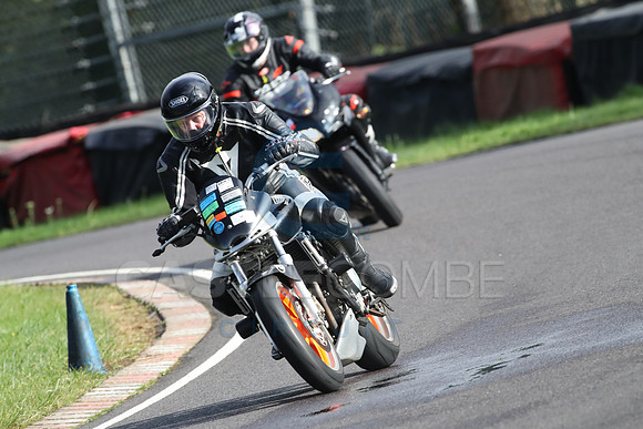 BIKES 1453
