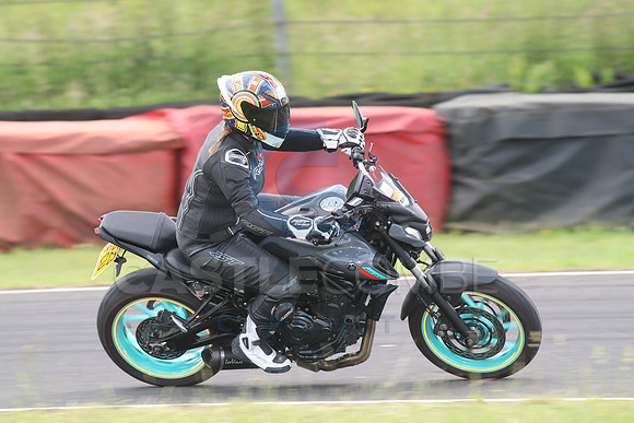 BIKES 1288