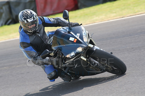 BIKES 1482