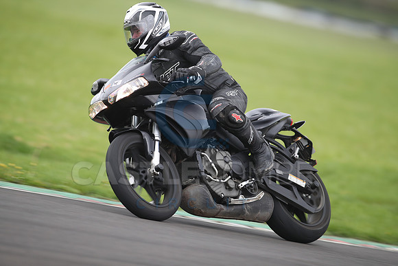 BIKES 1233