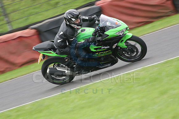 Fowlers 1001