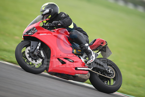 BIKES 1131