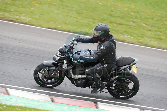 BIKES 2084