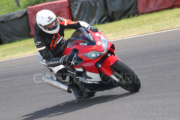 BIKES 1631