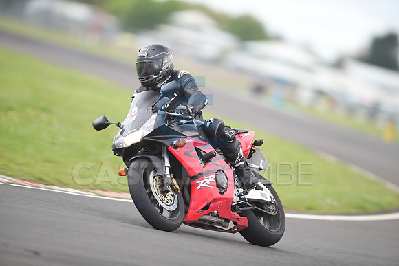 BIKES 1113