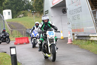 Fowlers 0064