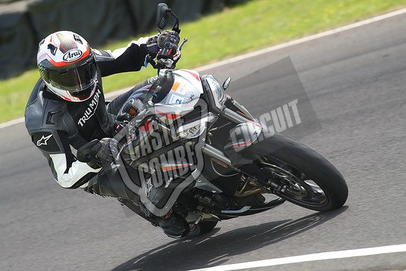 CC Bikes 1393