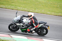 BIKES 2010