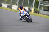 Suzuki GSX R orange bib