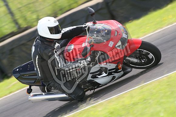 CC Bikes 1373