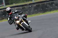 BIKES 0781