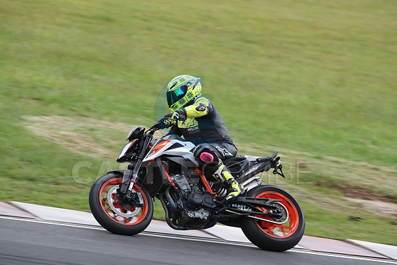 BIKES 1491