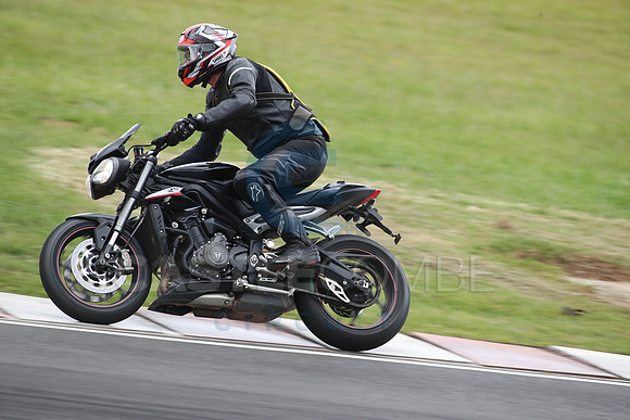 BIKES 1644