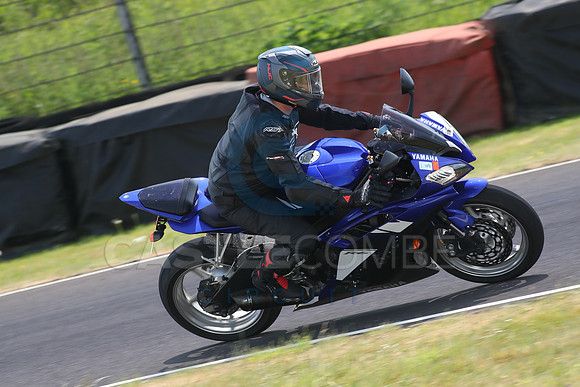 BIKES 1431