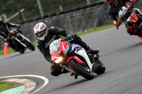 BIKES 0598