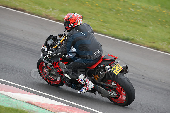 BIKES 2117