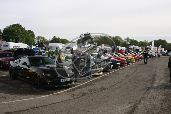 PUREFORD 001