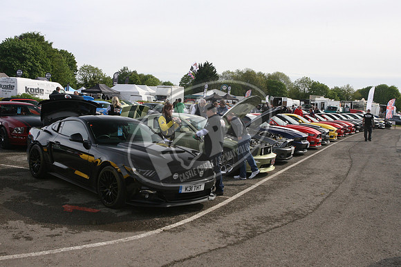 PUREFORD 002