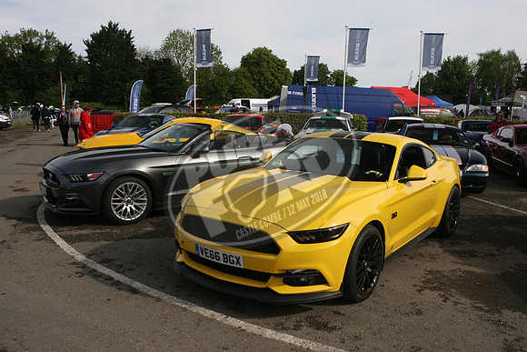 PUREFORD 003