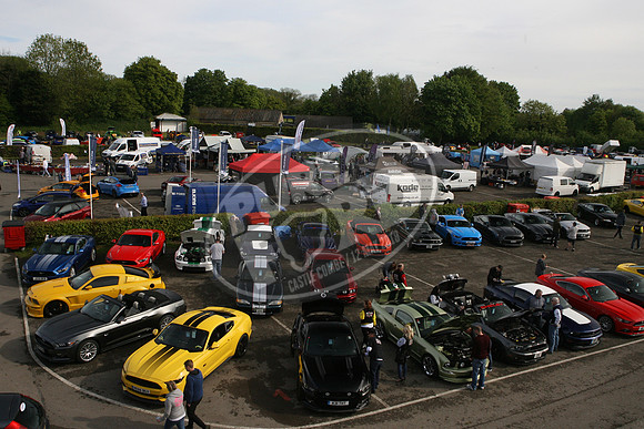 PUREFORD 005