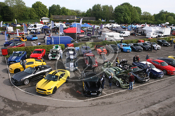 PUREFORD 006