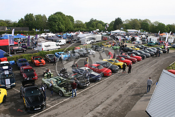 PUREFORD 007