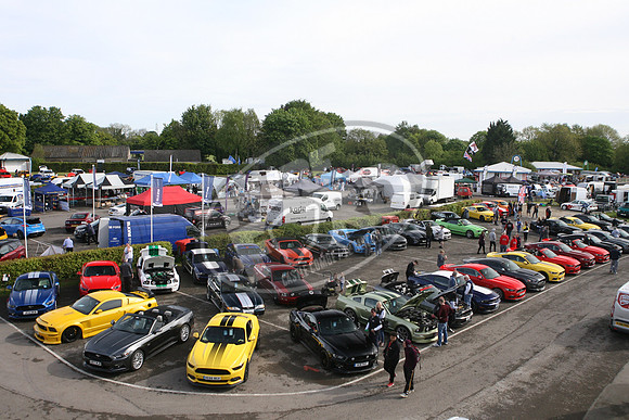 PUREFORD 008