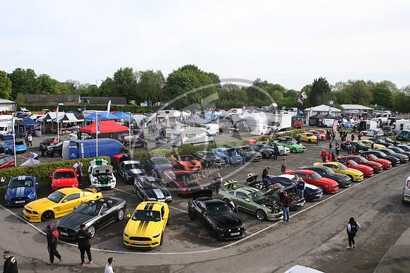 PUREFORD 009