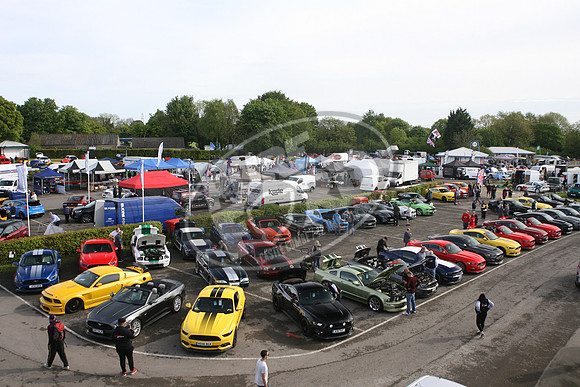 PUREFORD 010