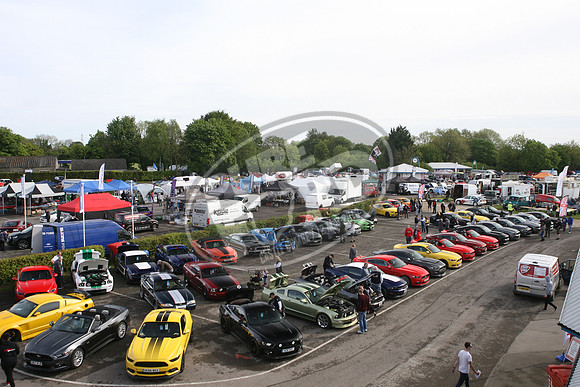 PUREFORD 011