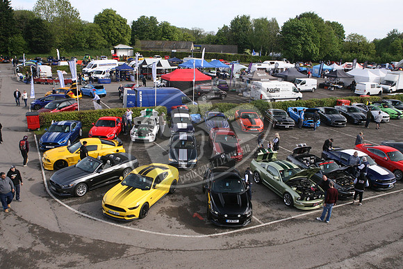 PUREFORD 012