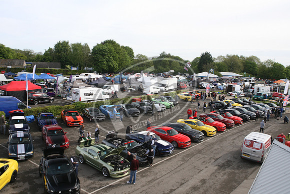 PUREFORD 013