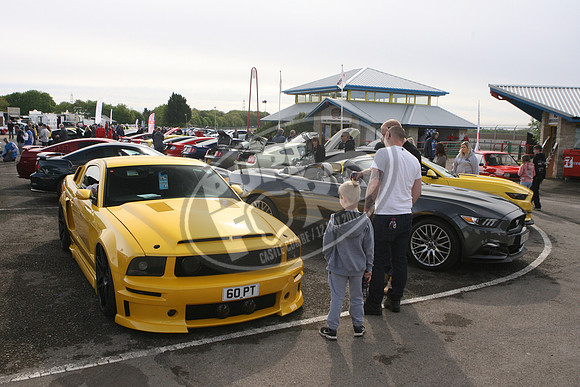 PUREFORD 017
