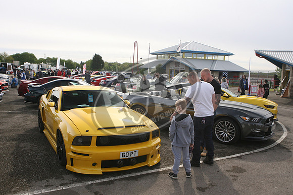 PUREFORD 018